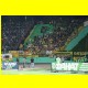 THB_8952.jpg