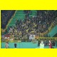 THB_8956.jpg