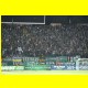 THB_8973.jpg
