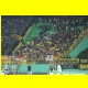 THB_8998.jpg