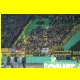 THB_9013.jpg