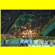 THB_9019.jpg