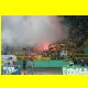 THB_9100.jpg