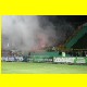 THB_9137.jpg