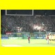 THB_9179.jpg
