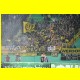 THB_9218.jpg