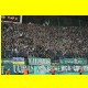 THB_9301.jpg