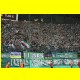 THB_9308.jpg