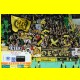 THB_9879.jpg