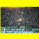 THB_9992.jpg